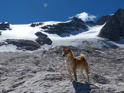 东决关键战之夜，拉梅洛在重压下完成爆发