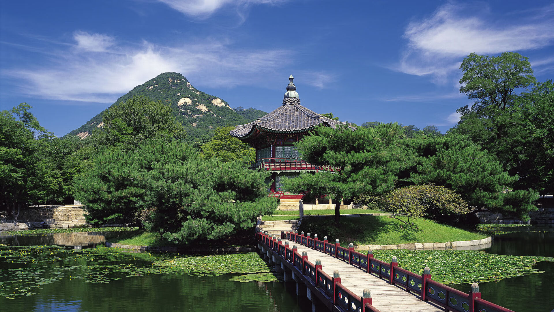 伊萨克压制级表现!奥运关键夜,梦想照进现实