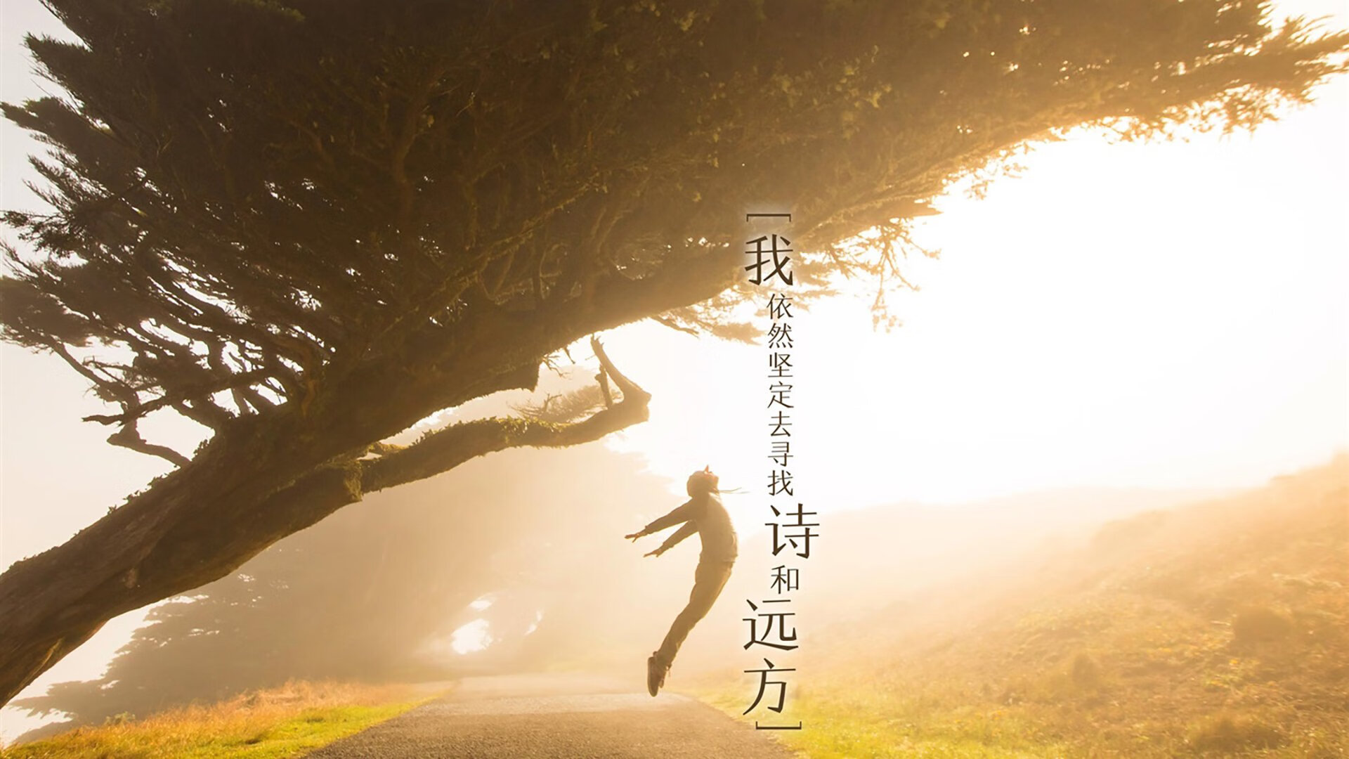 莫兰特终场绝耀，篮网压哨险胜新疆队