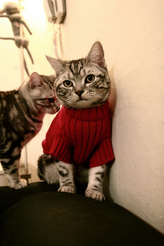 双重封锁，从巴林赛道到欧联战场，竞技体育的终极博弈