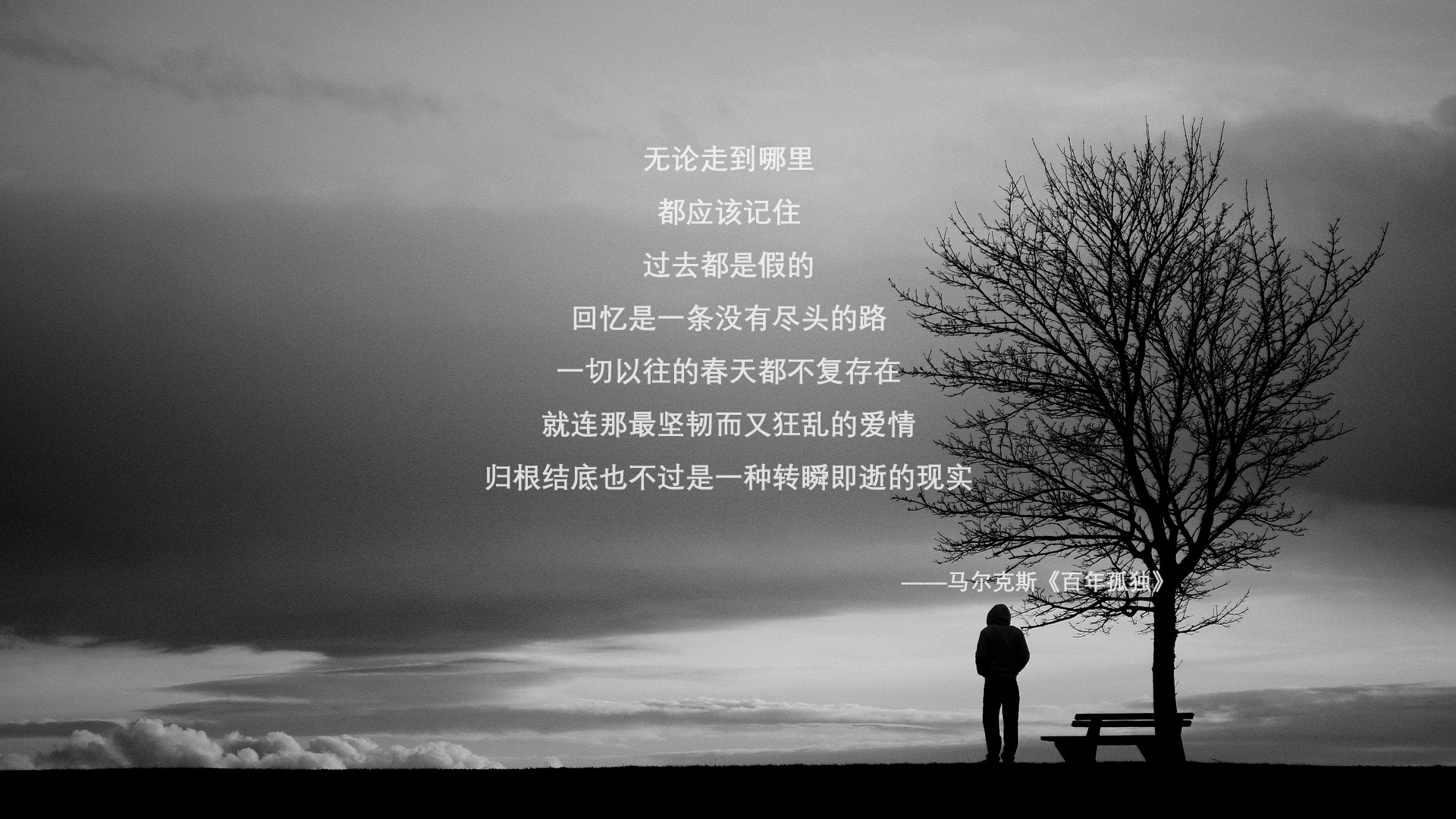 沙漠之盾与东方铁壁，当沙特逆转巴萨，金玟哉的杀伤哲学如何重塑亚洲足坛叙事