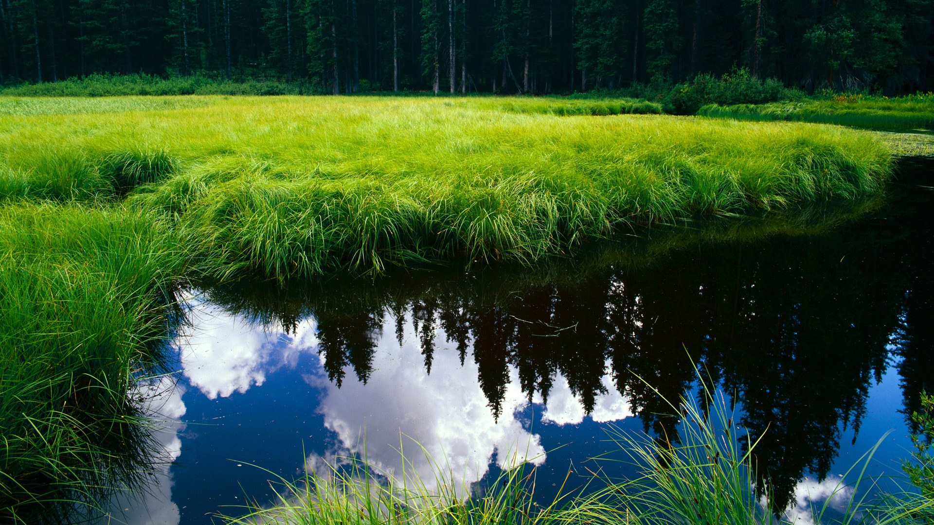 钢铁防线与致命一击,阿坎吉统治全场,马赛绝境逆袭皇马