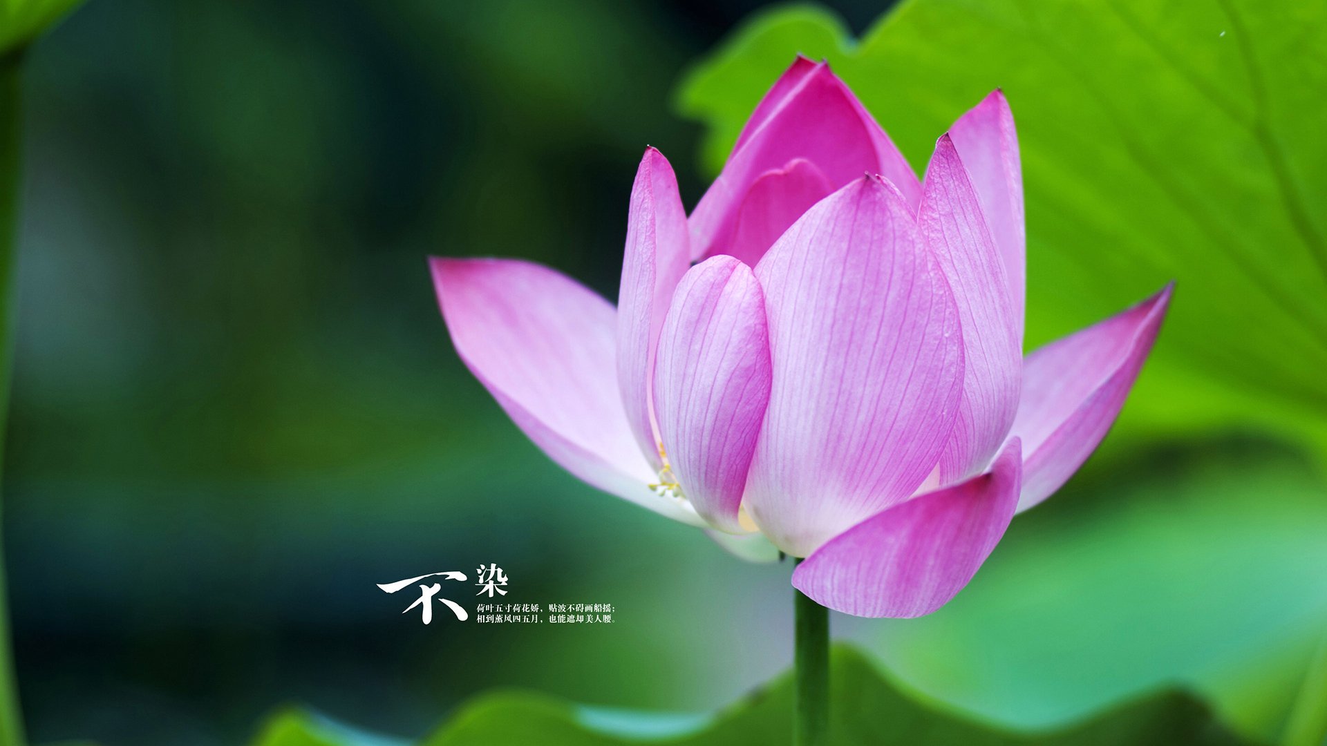 门迪，当绝境成为王座，他把窒息之夜打成加冕礼