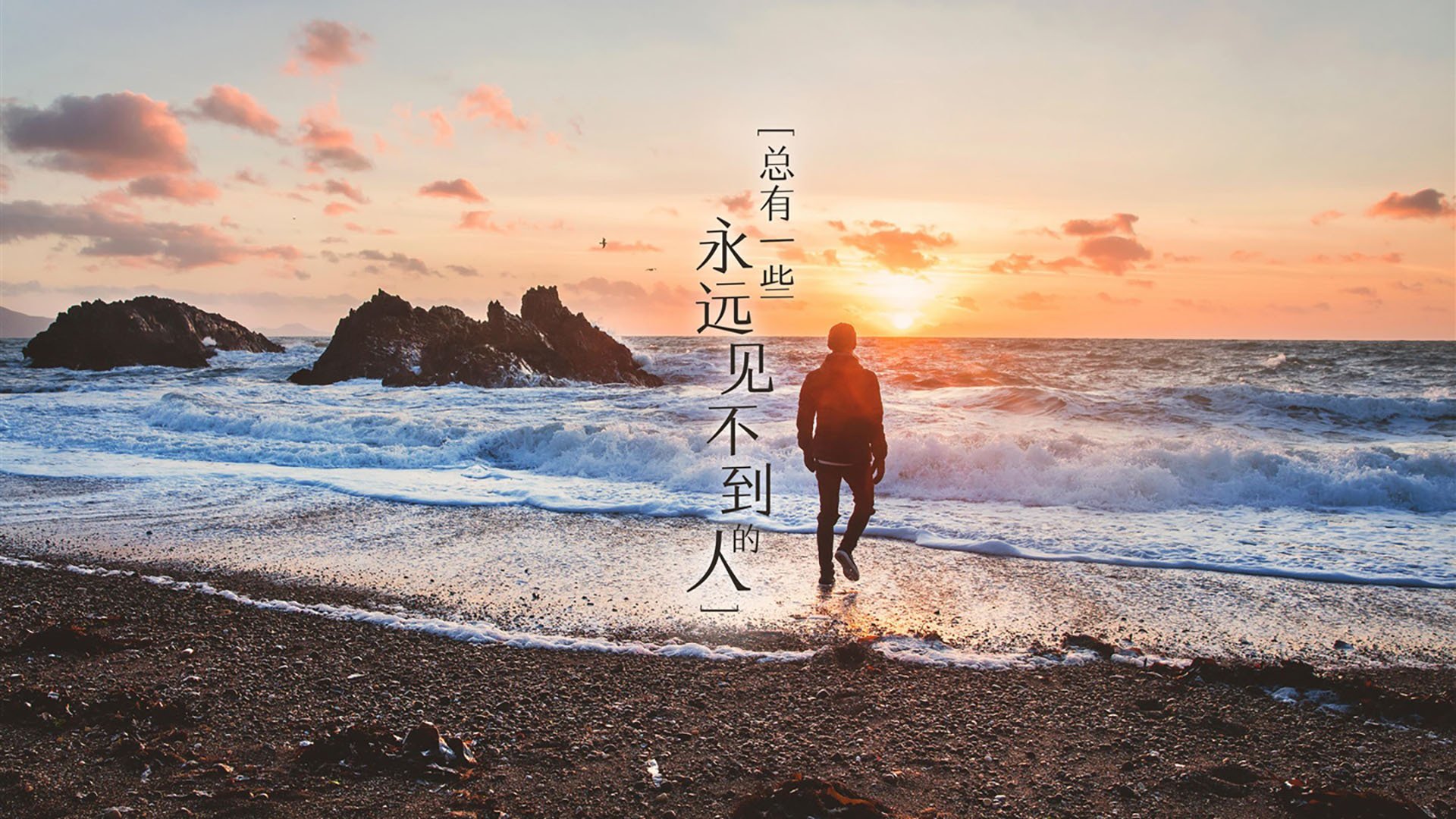 东决关键焦点战，勒沃库森3-0打穿乌克兰，德甲雄风震撼欧陆